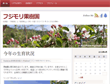 Tablet Screenshot of ff-fujimori.com